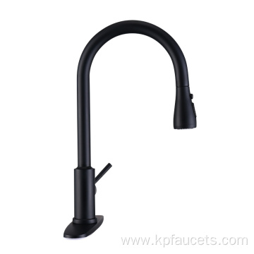 Matte Black Brushed Nickle Kitchen Faucet